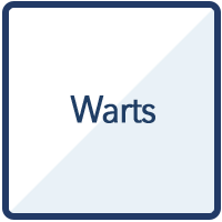 Warts